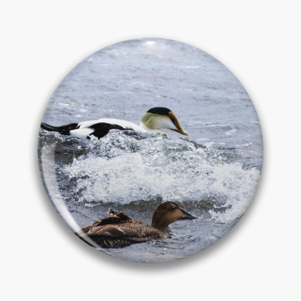 Item preview, eider riding the waves designed and sold by RoryTrudeau.