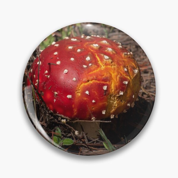 Item preview, ,Fly Agaric (Amanita muscaria) mushroom designed and sold by Willscape.
