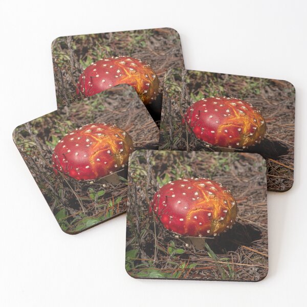 Item preview, ,Fly Agaric (Amanita muscaria) mushroom designed and sold by Willscape.