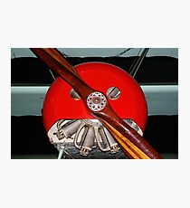 Red Nose Photographic Print