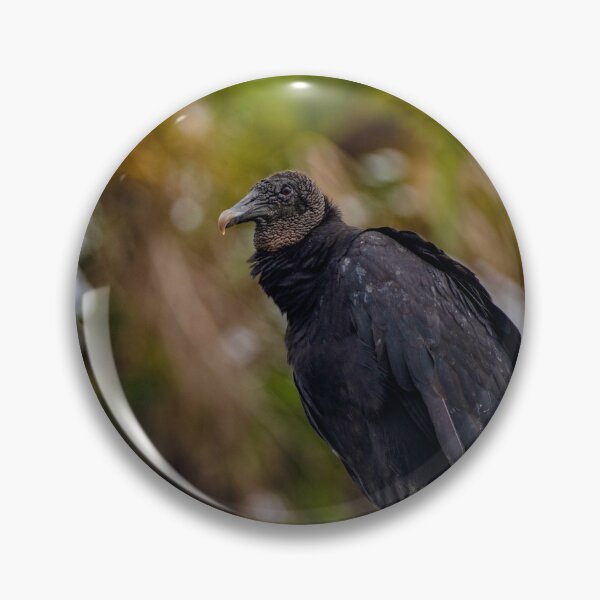 Item preview, vulture on the sly designed and sold by RoryTrudeau.