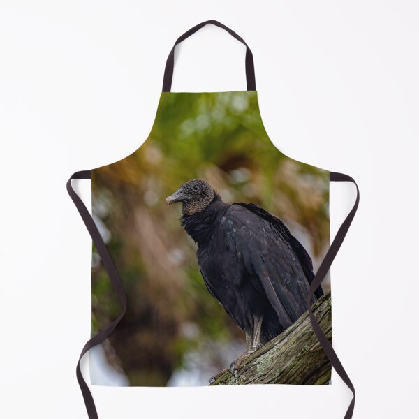Item preview, vulture on the sly designed and sold by RoryTrudeau.
