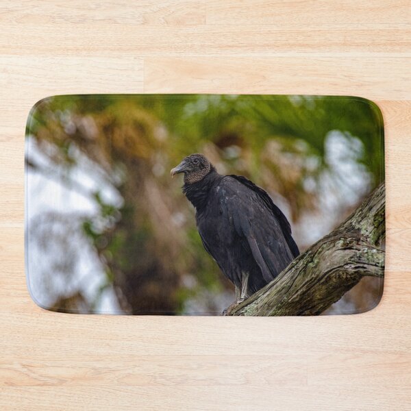 Item preview, vulture on the sly designed and sold by RoryTrudeau.