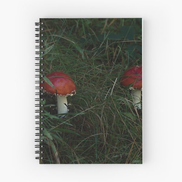 Item preview, Fly Agaric (Amanita muscaria) mushroom designed and sold by Willscape.