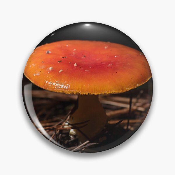 Item preview, Fly Agaric (Amanita muscaria) mushroom designed and sold by Willscape.