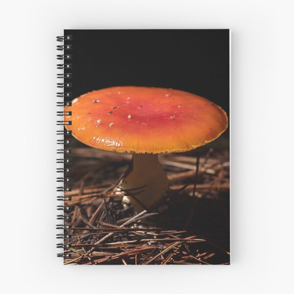 Item preview, Fly Agaric (Amanita muscaria) mushroom designed and sold by Willscape.