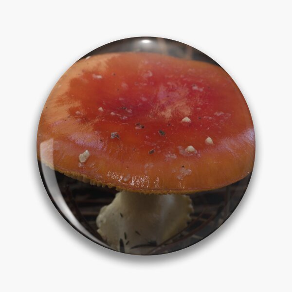 Item preview, Fly Agaric (Amanita muscaria) mushroom designed and sold by Willscape.