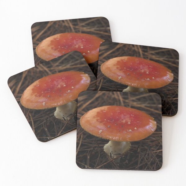 Item preview, Fly Agaric (Amanita muscaria) mushroom designed and sold by Willscape.