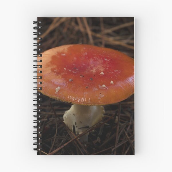 Item preview, Fly Agaric (Amanita muscaria) mushroom designed and sold by Willscape.