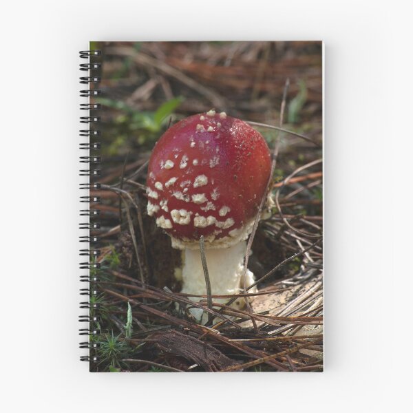 Item preview, Fly Agaric (Amanita muscaria) mushroom designed and sold by Willscape.