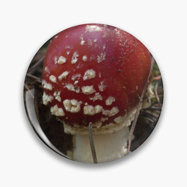 Item preview, Fly Agaric (Amanita muscaria) mushroom designed and sold by Willscape.