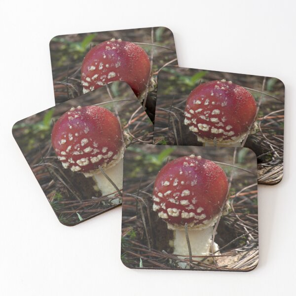 Item preview, Fly Agaric (Amanita muscaria) mushroom designed and sold by Willscape.