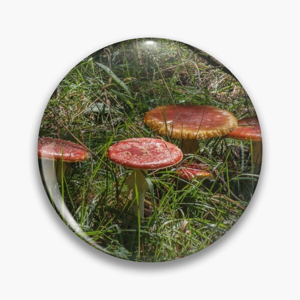Item preview, Fly Agaric (Amanita muscaria) mushroom designed and sold by Willscape.