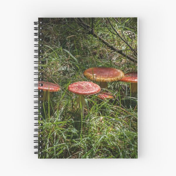 Item preview, Fly Agaric (Amanita muscaria) mushroom designed and sold by Willscape.
