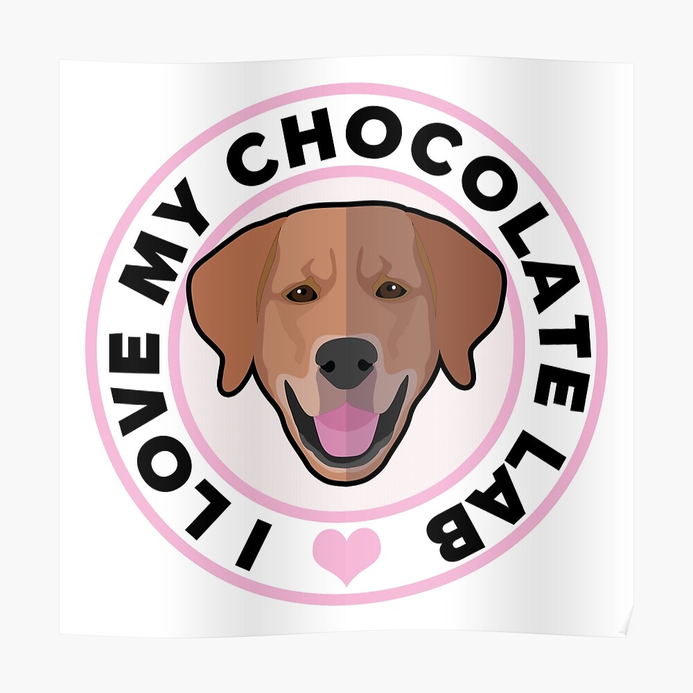 GOT CHOCOLATE LABS LABRADOR RETRIEVER DOG DECAL LAB 