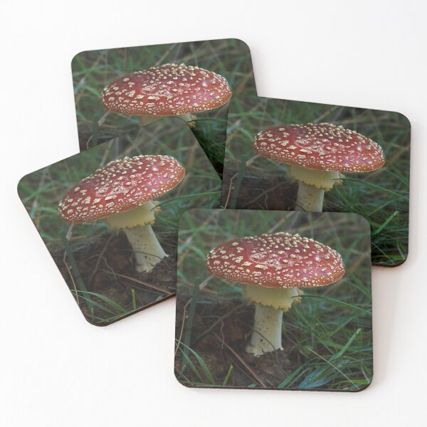 Item preview, Fly Agaric (Amanita muscaria) mushroom designed and sold by Willscape.