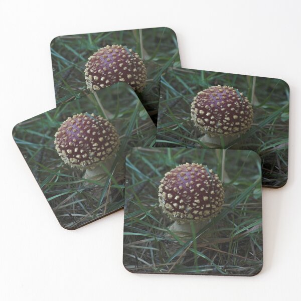 Item preview, Fly Agaric (Amanita muscaria) mushroom designed and sold by Willscape.