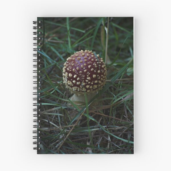 Item preview, Fly Agaric (Amanita muscaria) mushroom designed and sold by Willscape.