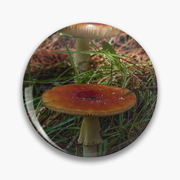 Item preview, Fly Agaric (Amanita muscaria) mushroom designed and sold by Willscape.