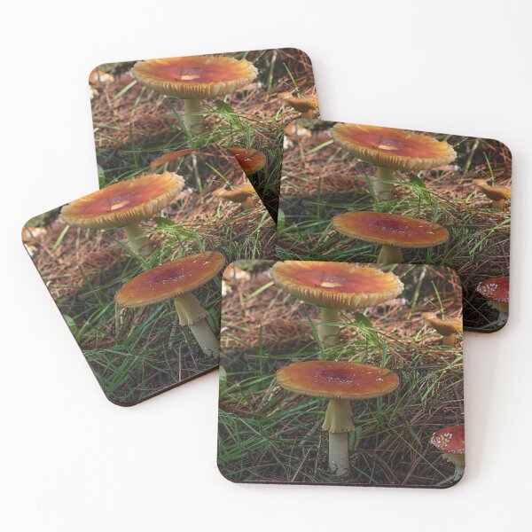 Item preview, Fly Agaric (Amanita muscaria) mushroom designed and sold by Willscape.