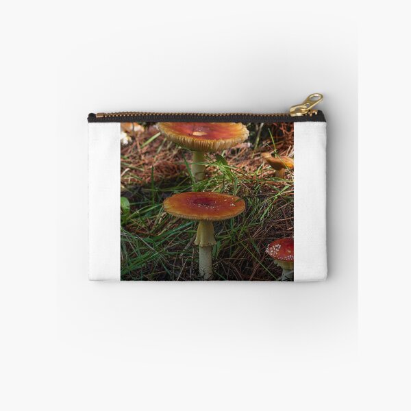 Item preview, Fly Agaric (Amanita muscaria) mushroom designed and sold by Willscape.