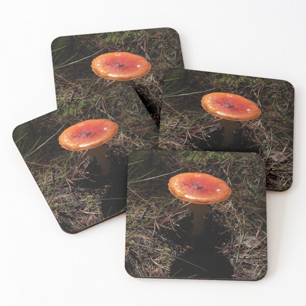Item preview, Fly Agaric (Amanita muscaria) mushroom designed and sold by Willscape.
