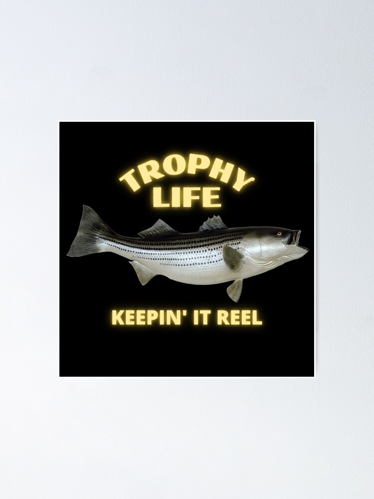 Striped Bass Fishery, Keepin' It Reel