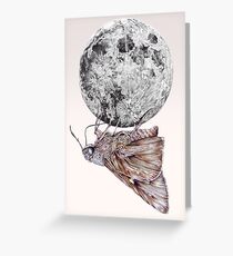 In which a moth is enticed by the light of the moon Greeting Card