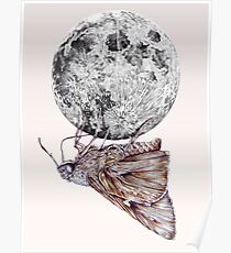 In which a moth is enticed by the light of the moon Poster