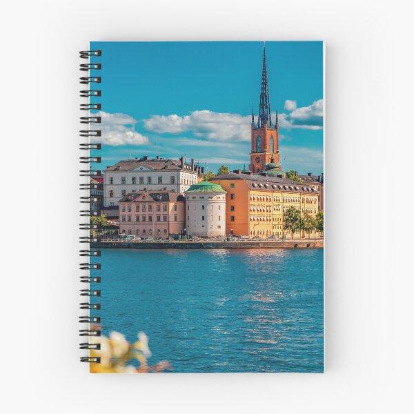 Item preview, Traditional gothic buildings Gamla Stan old town and Riddarholmen burial church of Swedish monarchs in Stockholm, Sweden, viewed across Lake Malaren. designed and sold by SvetlanaSF.