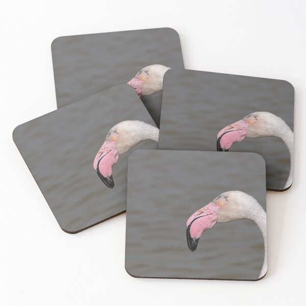 Item preview, Greater flamingo designed and sold by pietrofoto.