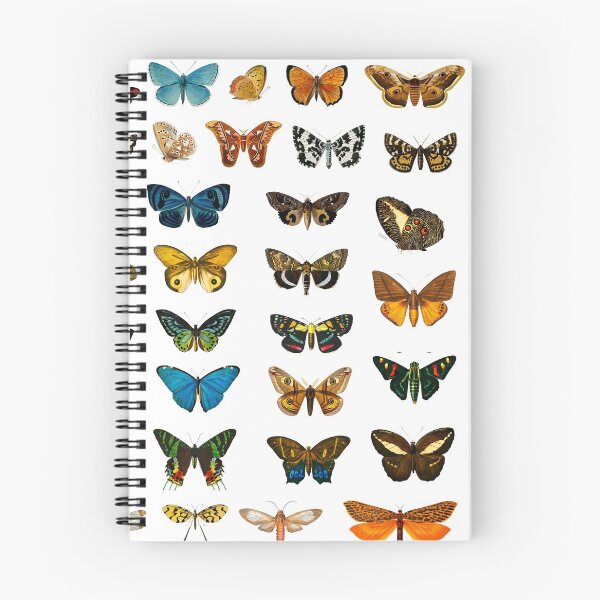 Item preview, Vintage butterflies and moths by Charles Dessalines D'orbigny designed and sold by monsterplanet.