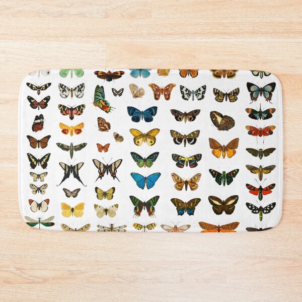 Item preview, Vintage butterflies and moths by Charles Dessalines D'orbigny designed and sold by monsterplanet.