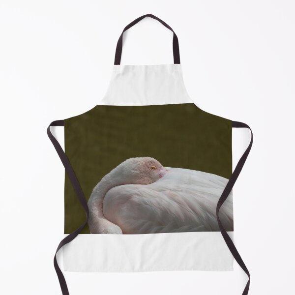 Item preview, Greater flamingo designed and sold by pietrofoto.