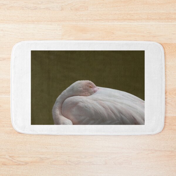 Item preview, Greater flamingo designed and sold by pietrofoto.
