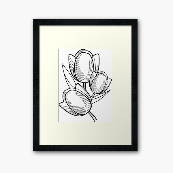 Tulip Flower Line Art Merch & Gifts for Sale | Redbubble
