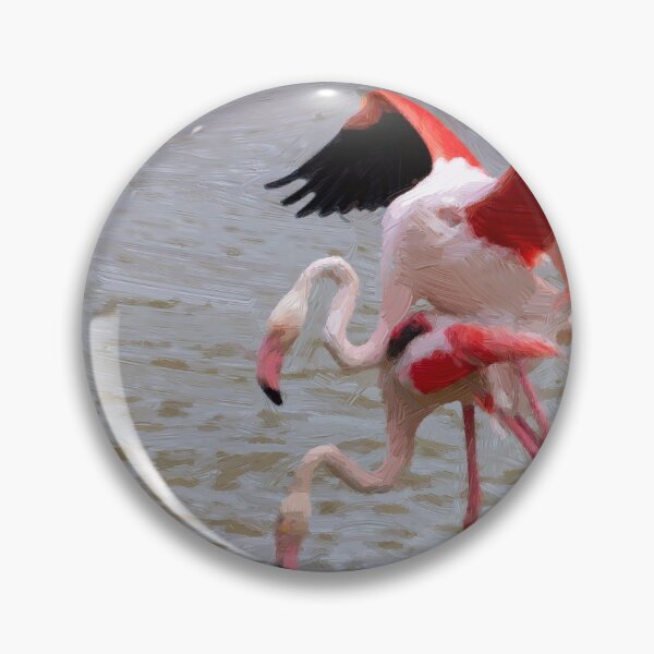Item preview, Coupling of greater flamingo designed and sold by pietrofoto.
