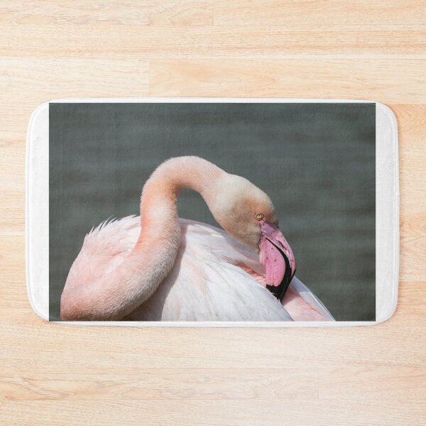 Item preview, Portrait of a greater flamingo designed and sold by pietrofoto.