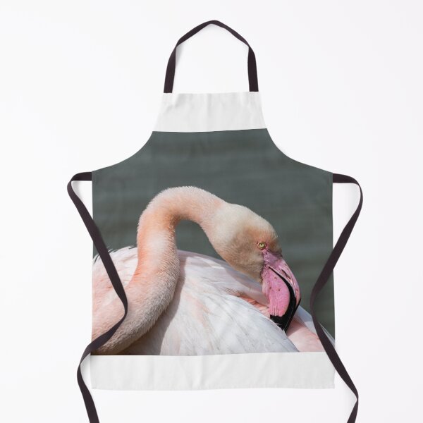 Item preview, Portrait of a greater flamingo designed and sold by pietrofoto.
