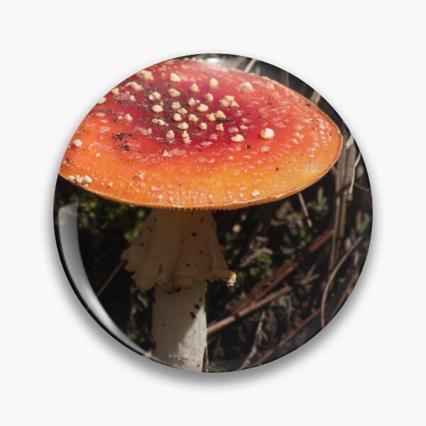 Item preview, Fly Agaric mushroom designed and sold by Willscape.