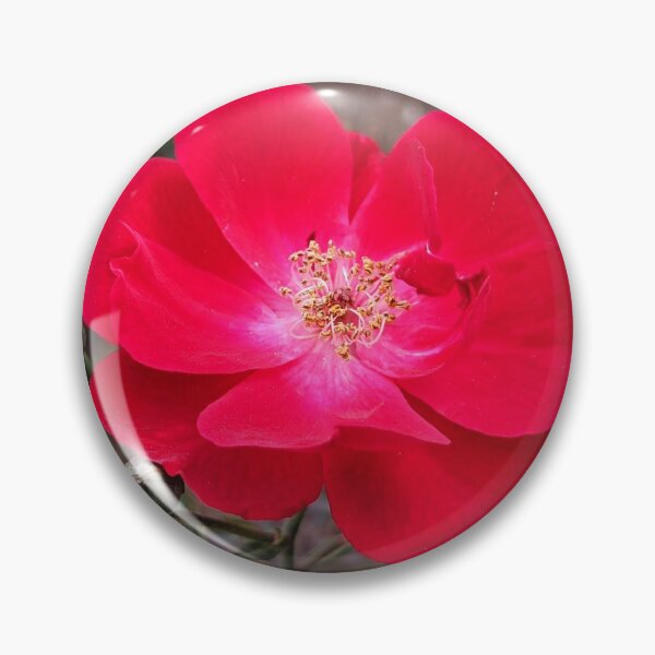 Artikelvorschau, Blumen Alpenrose Hübscher Frühling Natur Blumenfotografie 2 entworfen und verkauft von Wizardofpizza.