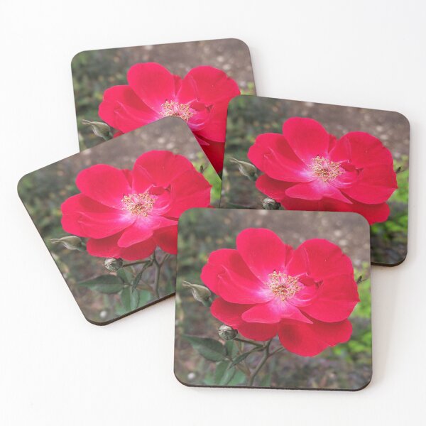 Item preview, Flowers Alpine Rose Pretty Spring Nature Floral Photography 2 designed and sold by Wizardofpizza.