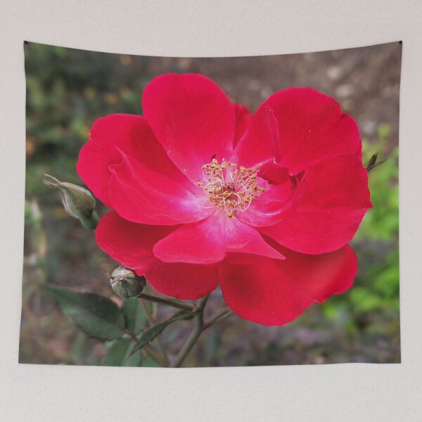 Item preview, Flowers Alpine Rose Pretty Spring Nature Floral Photography 2 designed and sold by Wizardofpizza.