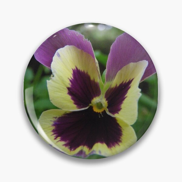 Artikelvorschau, What a Pansy. entworfen und verkauft von RightSideDown.