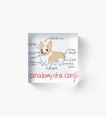 Anatomy of a Corgi Acrylic Block