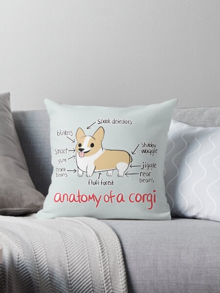 Item preview, Anatomy of a Corgi designed and sold by alyssadyerart.