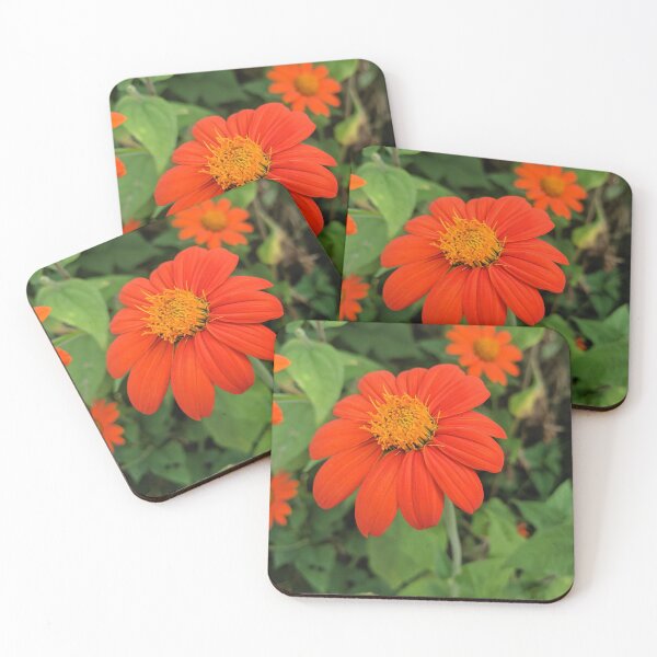 Item preview, Flores Girasoles Mexicanos Bonita Primavera Naturaleza Fotografía Floral 2 designed and sold by Wizardofpizza.