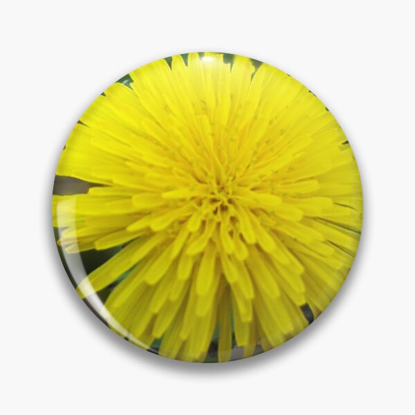 Item preview, Flowers Yellow Dandelions Pretty Spring Nature Floral Photography designed and sold by Wizardofpizza.