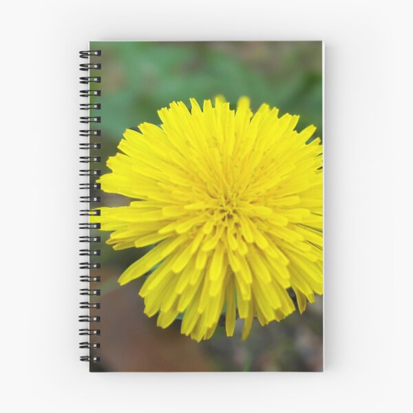 Artikelvorschau, Blumen gelber Löwenzahn hübsche Frühlingsnatur-Blumenfotografie entworfen und verkauft von Wizardofpizza.