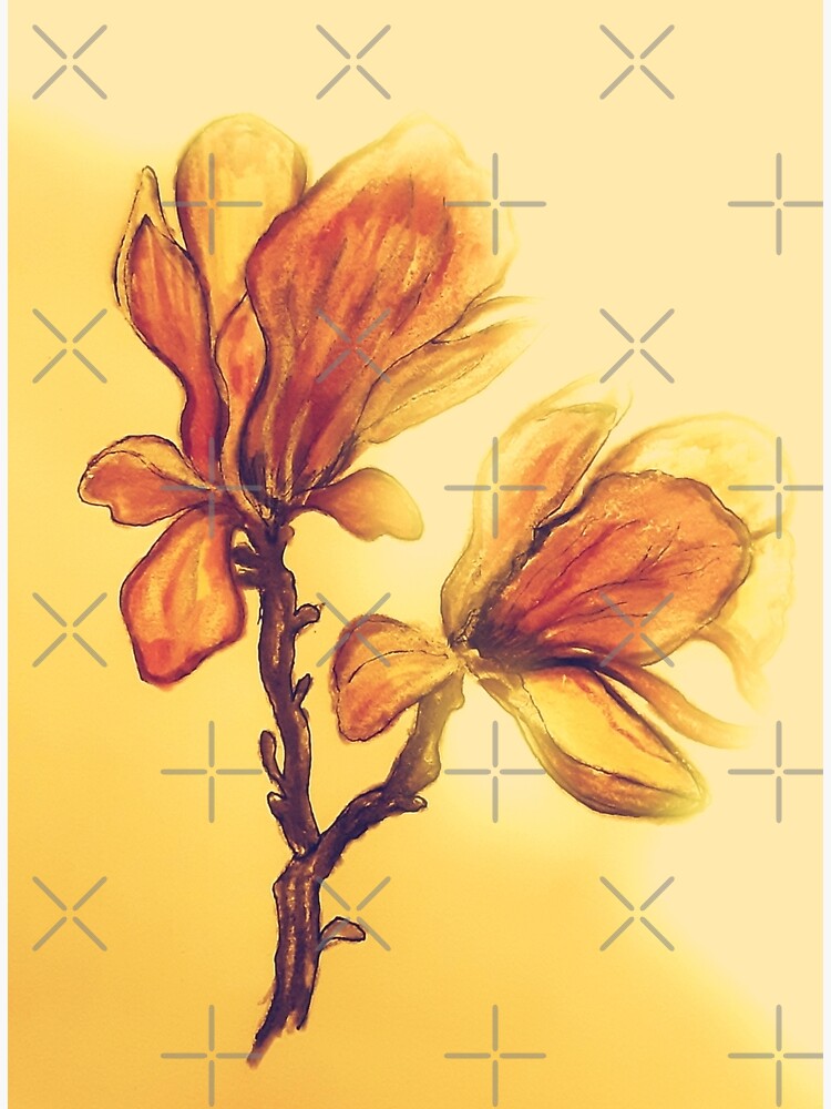 Tarjetas de felicitación «Pintura de magnolia, acuarela floral, dibujo de  flores, flor de naranja suave» de ZenArt-Fern | Redbubble
